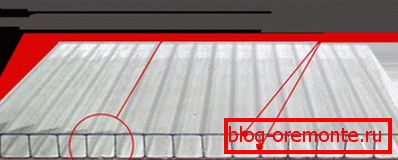 La structure du plastique cellulaire