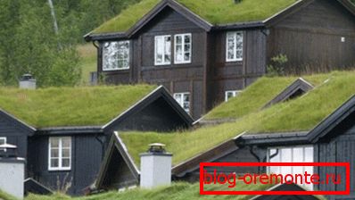 Maisons aux toits de légumes dans les Alpes