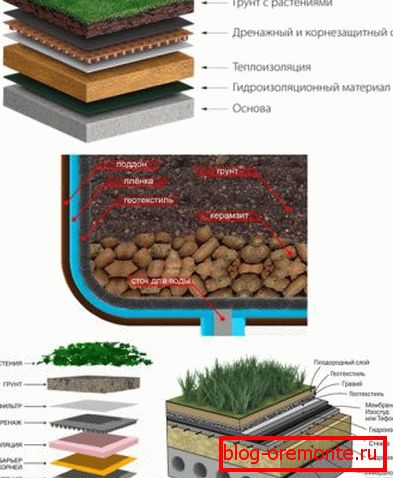 Schéma de la tarte à la toiture des toits de légumes de différents types