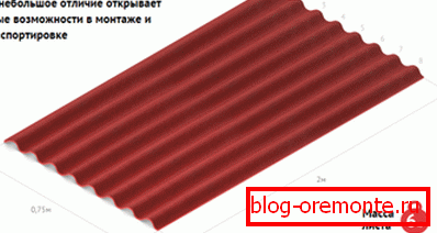 Caractéristiques de la feuille