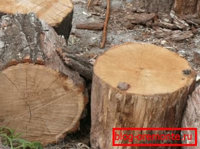 Type de bois de rivage Type de bois de rivage