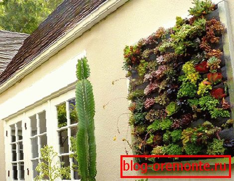 Jardinage vertical partiel
