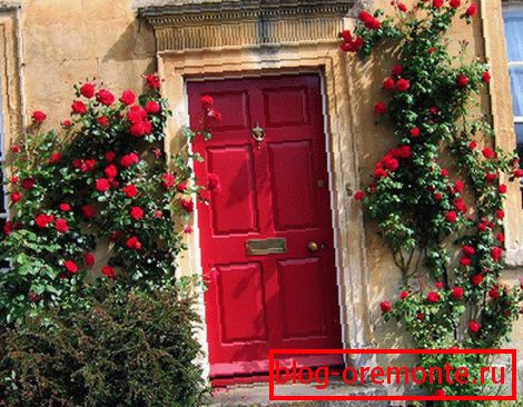Roses rouges à la porte d'entrée