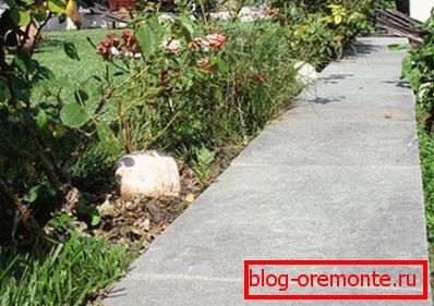 Sur la photo - allée de jardin Sur la photo - allée de jardin