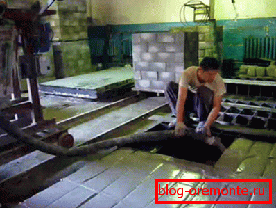Production de blocs cellulaires. Production de blocs cellulaires.