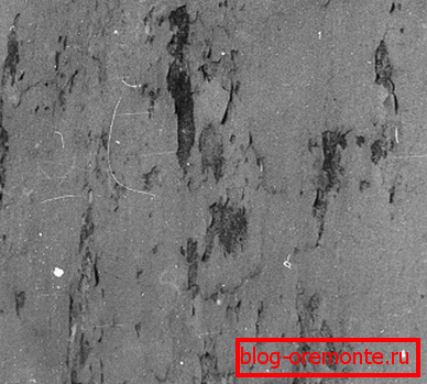 Surface de pelage Surface de pelage
