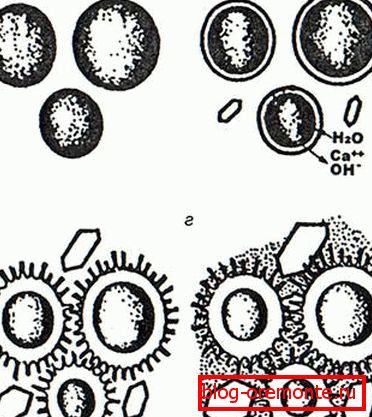 Représentation schématique des différentes étapes de l'hydratation du ciment. Représentation schématique des différentes étapes de l'hydratation du ciment.