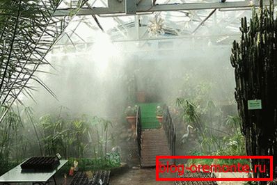 Système d'irrigation в зимнем саду
