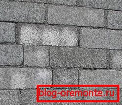 Les murs d'un tel matériau sont construits facilement et rapidement. Les murs d'un tel matériau sont construits facilement et rapidement.