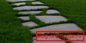 L'herbe traversant le chemin de ciment améliore l'harmonie avec l'intérieur du jardin L'herbe traversant le chemin de ciment améliore l'harmonie avec l'intérieur du jardin