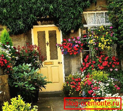 Décoration avec des plantes à fleurs